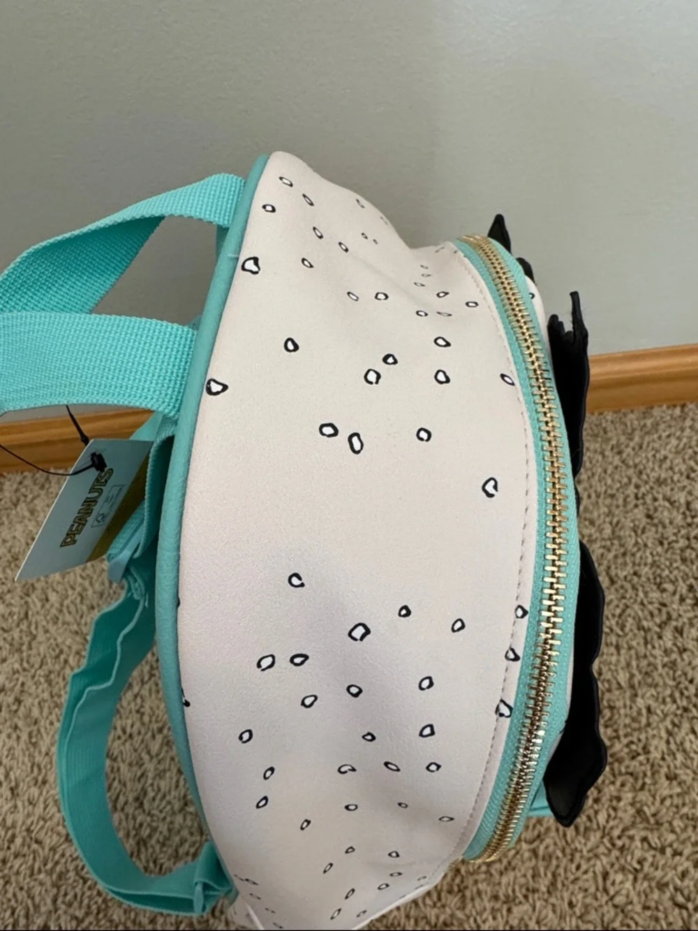 Peanuts bag new